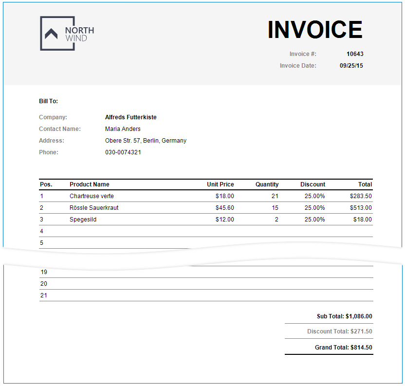 invoice-preview.png